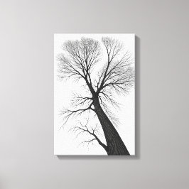 Minimalistisch silhouet van zwarte bomen canvas afdruk