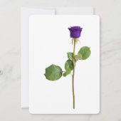 Minimalistisch Valentijnsdag Paars Roos Kaart (Achterkant)