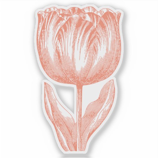 Minimalistisch   ventilatorlijnTekening Sinaasappe Sticker (Voorkant)