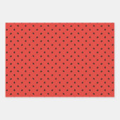 Minimalistisch watermeloenslot inpakpapier vel (Voorkant)