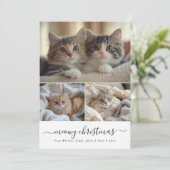 Minimalistisch Whimsy Script Meowy Kerstkattenfoto Feestdagenkaart (Staand voorkant)