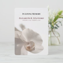 Minimalistisch wit orchideeën-herdenkingsprogramma