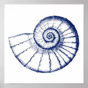 Minimalistisch Zee Shell Nautilus Poster