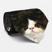 Minimalistisch zwart wit kitten stropdas (Opgerold)