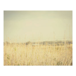 Minimalistische Abstracte Natuur – Kalmerende Wand Foto Afdruk