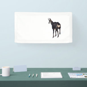 Minimalistische Alpen gems alpiene geit op sneeuw Spandoek