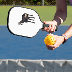 Minimalistische Alpen gems nu op sneeuw Pickleball Paddle