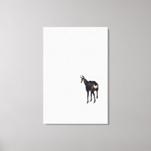 Minimalistische Alpine Chamois berggeit op sneeuw Canvas Afdruk