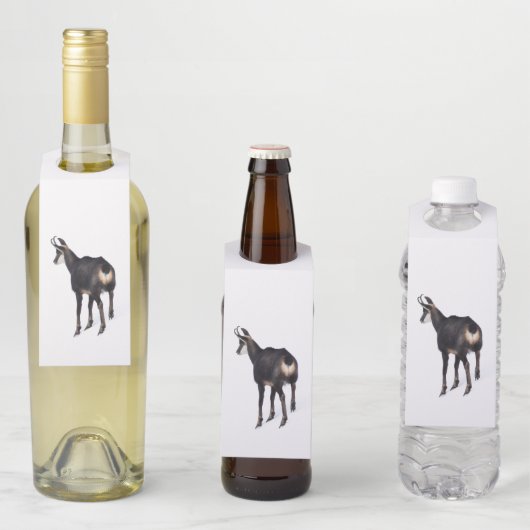 Minimalistische Alpine Chamois berggeit op sneeuw Flessenhanger (In situ)