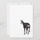 Minimalistische Alpine Chamois berggeit op sneeuw Kaart (Voorkant)