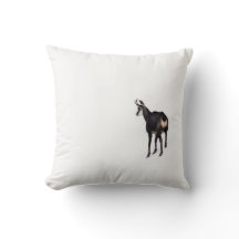 Minimalistische Alpine Chamois berggeit op sneeuw