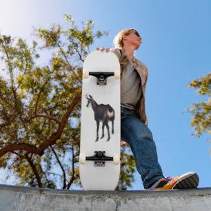 Minimalistische Alpine Chamois berggeit op sneeuw Persoonlijk Skateboard