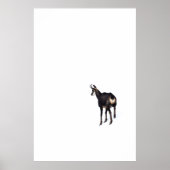 Minimalistische Alpine Chamois berggeit op sneeuw Poster (Voorkant)