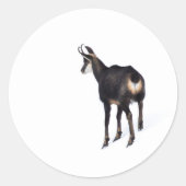 Minimalistische Alpine Chamois berggeit op sneeuw Ronde Sticker (Voorkant)