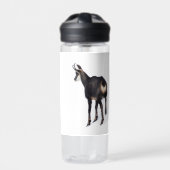 Minimalistische Alpine Chamois berggeit op sneeuw Waterfles (Voorkant)