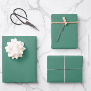 Minimalistische aquamarijn effen elegante cadeau inpakpapier vel