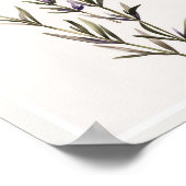 Minimalistische aquarel Lavendel Bloem Stammen Poster (Hoek)