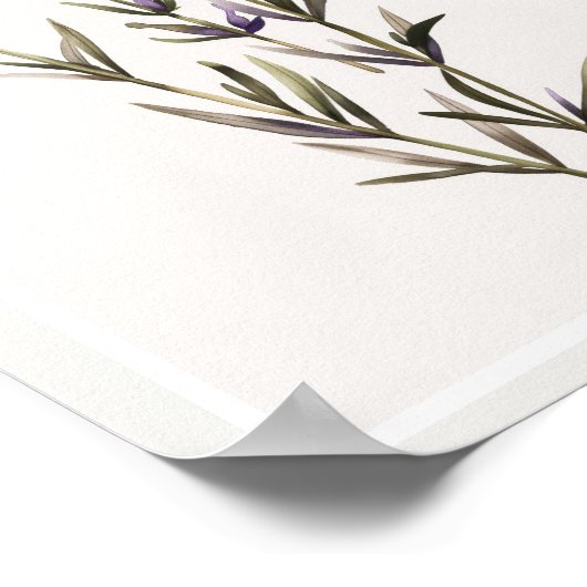 Minimalistische aquarel Lavendel Bloem Stammen Poster (Hoek)