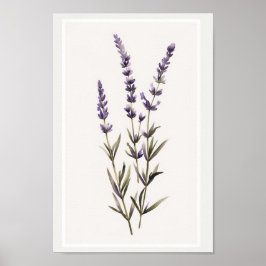 Minimalistische aquarel Lavendel Bloem Stammen Poster