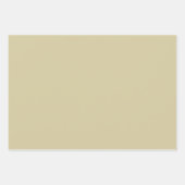 Minimalistische beige tan neutrale effen effen ele inpakpapier vel (Voorkant 2)