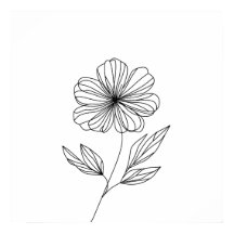 Minimalistische Bloemenlijn Tekening zwart-wit
