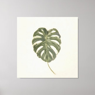 Minimalistische bontbladige Monstera-blad Vintage  Canvas Afdruk