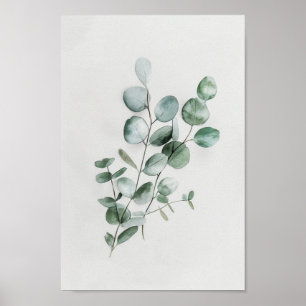 Minimalistische Botanische Eucalyptus in de Waterv Poster