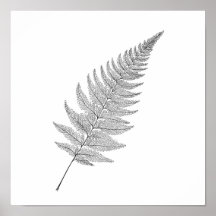 Minimalistische botanische print: Elegante fractal