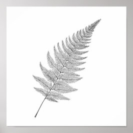 Minimalistische botanische print: Elegante fractal Poster