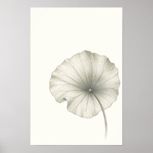 Minimalistische botanische wandkunst met Lotusblad Poster