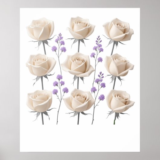 Minimalistische Cream Roos Bloemtekening Poster (Voorkant)