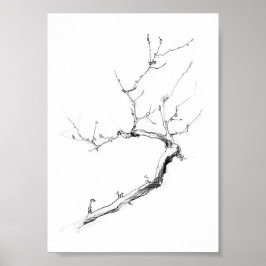 Minimalistische delicate boomtak poster