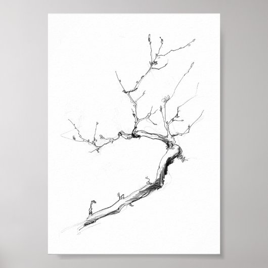 Minimalistische delicate boomtak poster (Voorkant)
