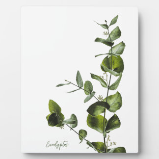 Minimalistische elegante eucalyptusplaque fotoplaat