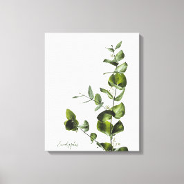 Minimalistische elegante salie eucalyptus canvas