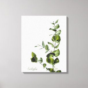 Minimalistische elegante salie eucalyptus canvas