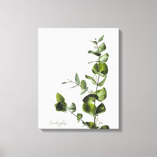 Minimalistische elegante salie eucalyptus canvas (Voorkant)