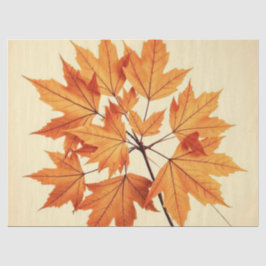Minimalistische esdoornbladeren kunst – botanische tissuepapier