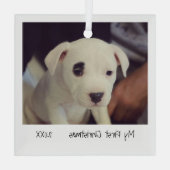 Minimalistische foto Huisdier eerste kerst Glas Ornament (Achterkant)