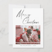 Minimalistische Foto Vrolijk Kerstscript Huisdier Feestdagenkaart (Voorkant)