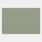 Minimalistische Gekke Gans Kind jarig Inpakpapier Vel (Voorkant 3)