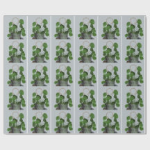 Minimalistische Geld Plant -Matte Wikkelpapier