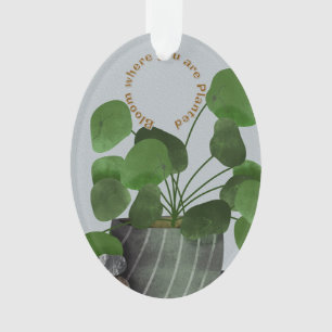 Minimalistische Geldplant - Acrylen Ovaal Ornament