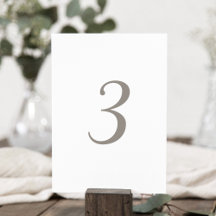 Minimalistische Grijze Kleur Tabel Nummer 3