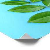 Minimalistische groene bladeren op blauwe botanisc poster (Hoek)