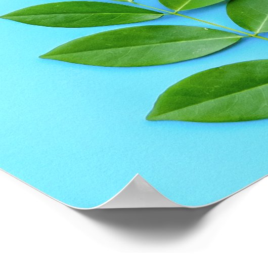 Minimalistische groene bladeren op blauwe botanisc poster (Hoek)