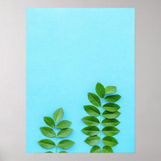 Minimalistische groene bladeren op blauwe botanisc poster