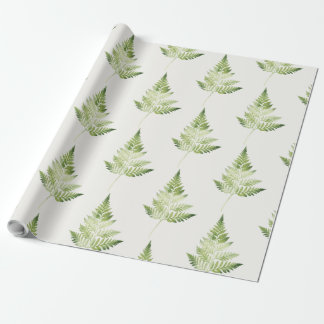 Minimalistische groene varen botanische illustrati cadeaupapier