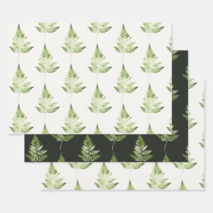 Minimalistische groene varen botanische illustrati inpakpapier vel