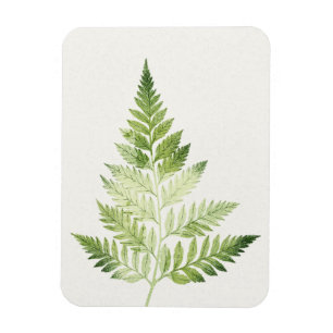 Minimalistische groene varen botanische illustrati magneet